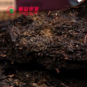 湘益一品茯茶400g