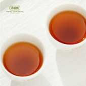 羊楼洞赤壁米砖茶300g/袋（6g*50）
