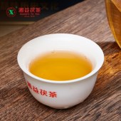 湘益经典1958（蓝印）茯茶900g
